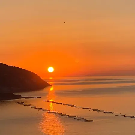 Punta Palivi *