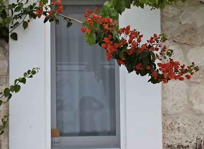 Punta Palivi * מאטינאטה