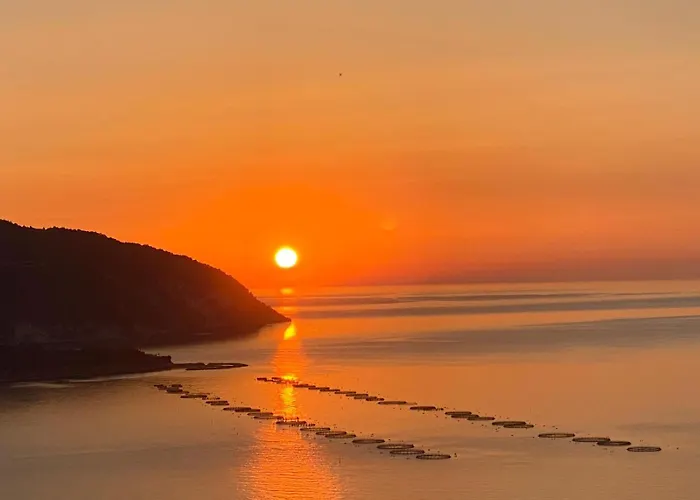 Punta Palivi *